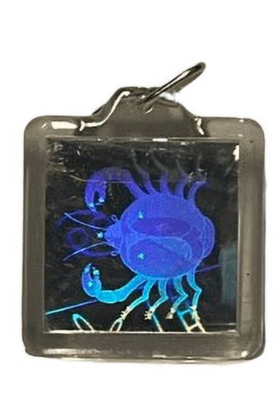 Hologram Keychain Zodiac Cancer