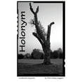 thumbnail image 1 of Holonym, 1 of 1
