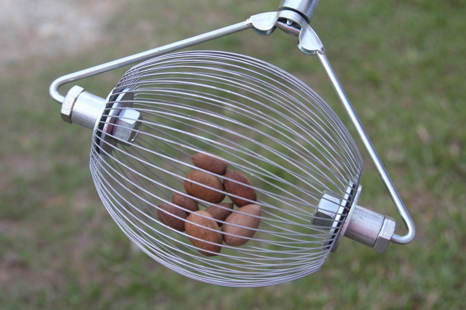"Holt's 12"" Nut Wizard - Metal Nut and Fruit Collector Tool Crafted in ...