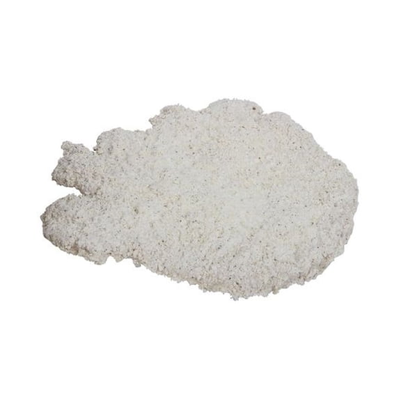 Holten Meat Breaded Pork Loin Fritters, 7 Ounce -- 24 per case