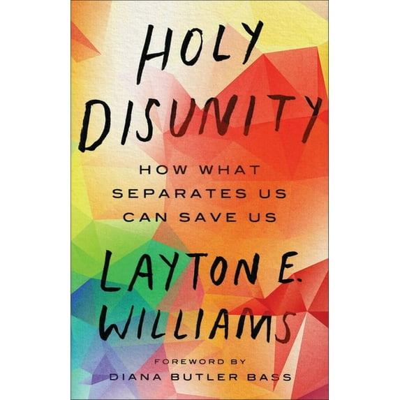 Holy Disunity: How What Separates Us Can Save Us (Paperback)