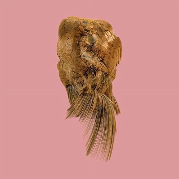 Holy Family - Values - Music & Performance - CD