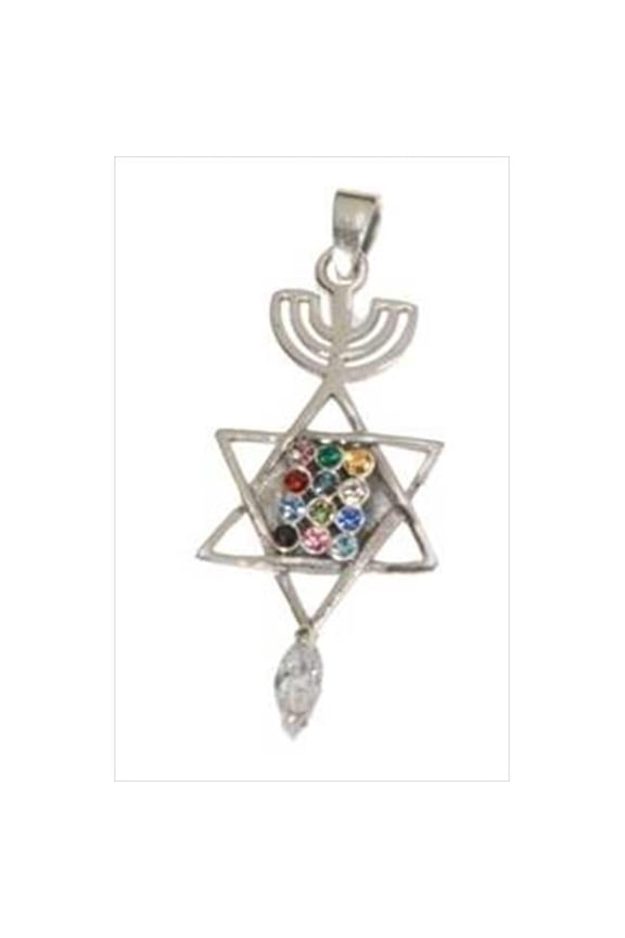 12942 Pendant Messianic Seal Roots Symbol With Breastplate, Stainless Steel