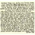 Holy Land Market Two Non Kosher Scroll/Parchment/Klaf or Scroll for ...