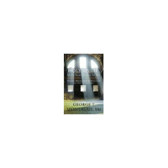 Pre-Owned Holy Spirit, Make Your Home in Me: Biblical Meditations on Receiving the Gift of the Spirit (Paperback) 1593251289 9781593251284