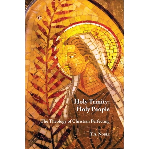 Holy Trinity: Holy People: The Theology of Christian Perfecting, (Paperback)