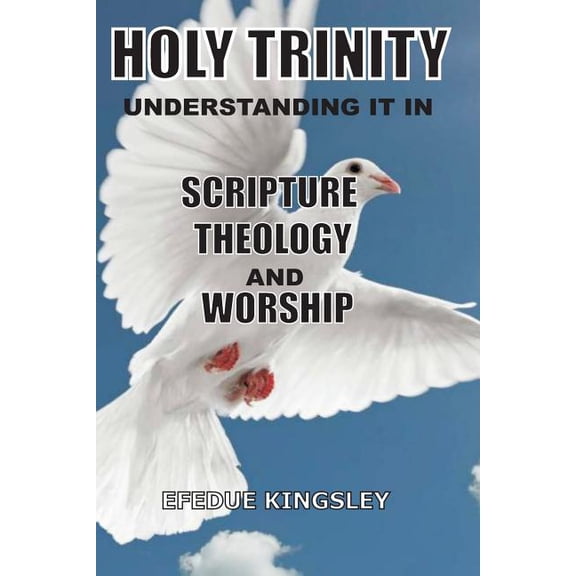 Holy Trinity: Understanding It In Scripture, Theology, And Worship (Paperback)