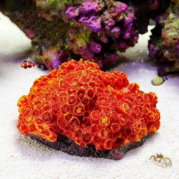 Holzlrgus 1Pc of Polyresin Coral Ornaments, Aquarium Coral Decor for Fish Tank Aquarium Decoration 5.11" x 3.93" x 2.75"