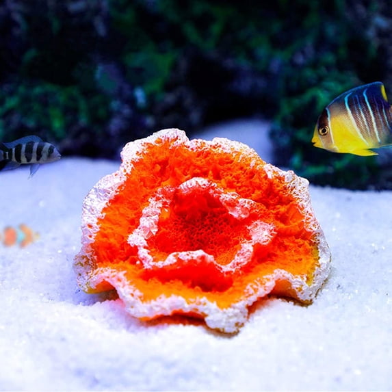 Holzlrgus 1Pc of Polyresin Coral Ornaments, Aquarium Coral Decor for Fish Tank Aquarium Decoration Mini Size 2 1/3" x 1 1/2" x 7/10"