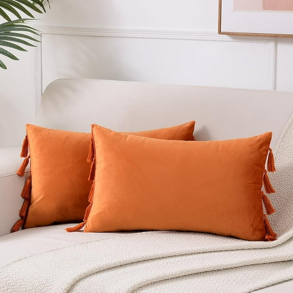 Holzlrgus 2 Pack Fall Orange Lumbar Decorative Throw Pillow Covers 12x20 Inch with Tassels for Living Room Couch Bedroom, Soft Velvet Solid Rectangle Cushion Case 30x50 cm, Boho Home Decor