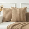 thumbnail image 1 of Holzlrgus 2 Packs Tan Decorative Throw Pillow Covers 20x20 Inch for Living Room Couch Bed Sofa, Soft Striped Corduroy Square Cushion Case 50x50 cm, Rustic Farmhouse Boho Home Decor, 1 of 7