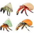 thumbnail image 1 of Holzlrgus 4 Pcs Hermit Crab Figurines Realistic Sea Creature Model Plastic Beach Animals Action Figure for Birthday Party Collection Gifts, 1 of 7