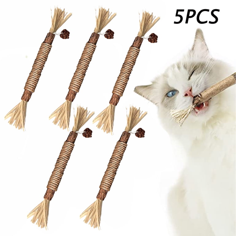 Holzlrgus 5pcs Cat Chew Toys Set - Catnip Toys, Kitten Teething