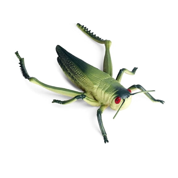 Holzlrgus Animal Figures Realistic Plastic Grasshopper Animal Action Model Science Project, Learning Educational Toys, Birthday Gift, Cake Topper for Kids Toddlers