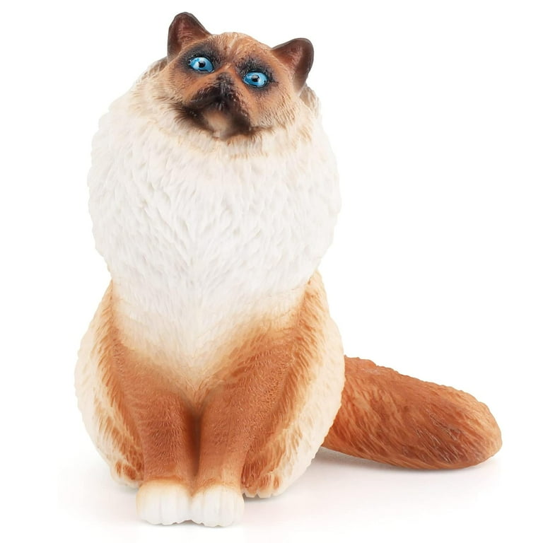 Big ragdoll sale