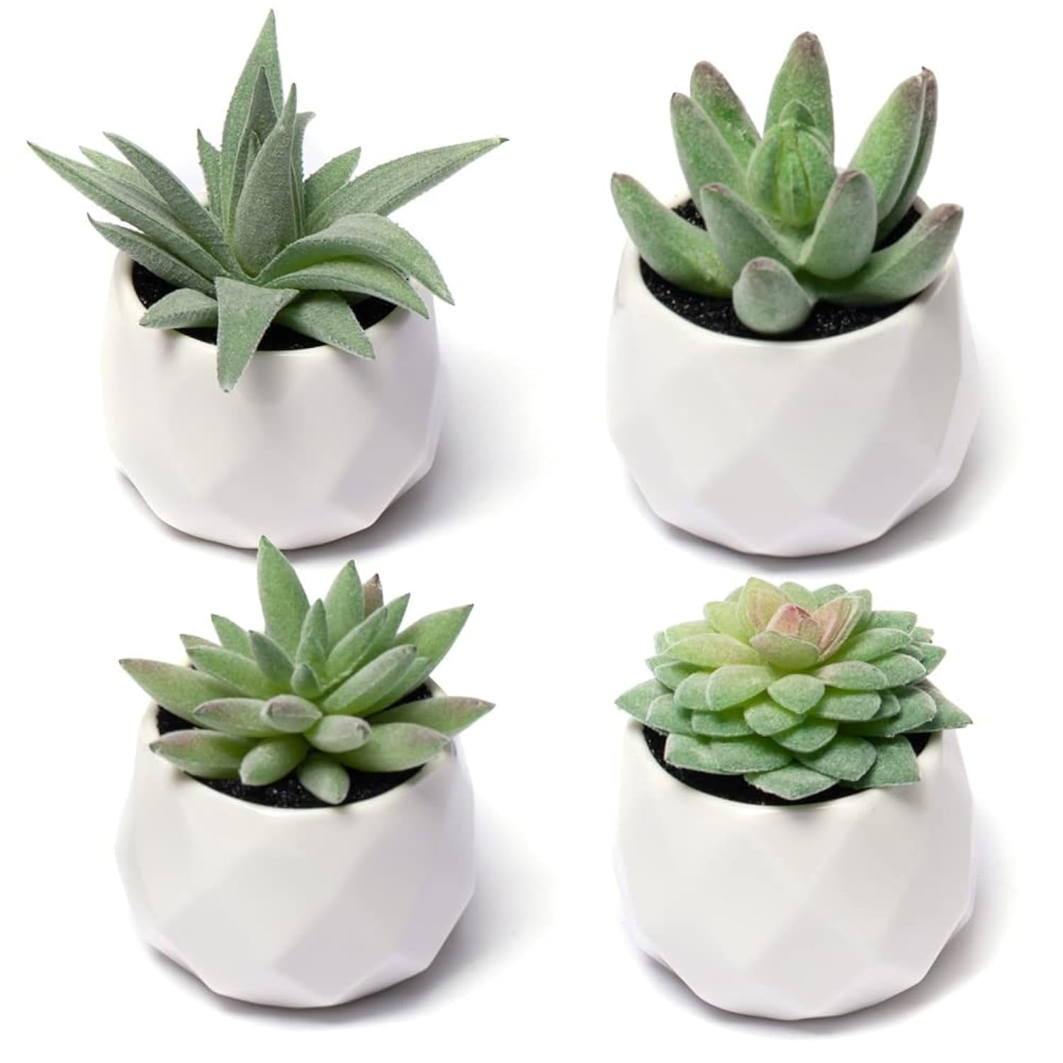 Mini Green Artificial Succulent Plants in White Ceramic Pots