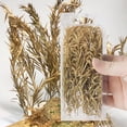 thumbnail image 1 of Holzlrgus Miniature Shrubs Model Bushes Long Shrub Diorama Trees Model Trees for Train Landscape Railroad Scenery Sand Military Layout Model, Yellow, 1 of 5