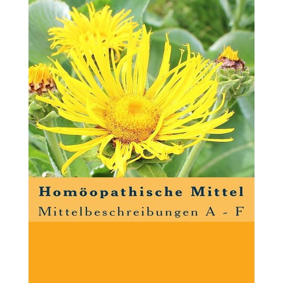 Homopathische Mittel : Mittelbeschreibungen A - F (Paperback)