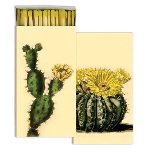 HomArt - Match Box Set of 2 - Cacti