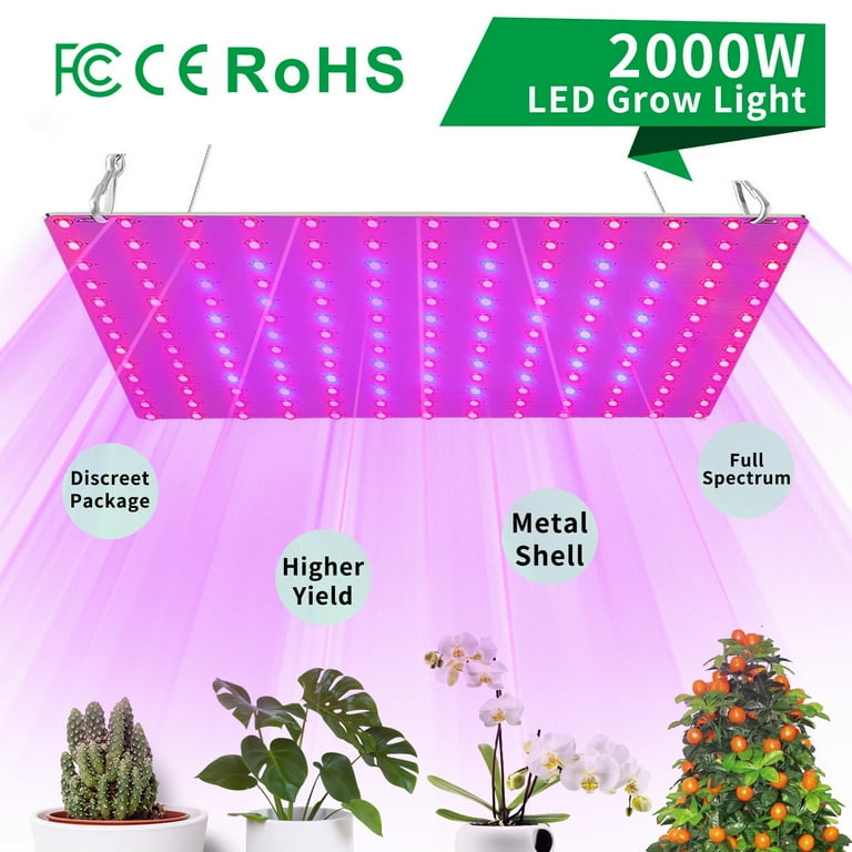 Best hydroponic sale lights 2020
