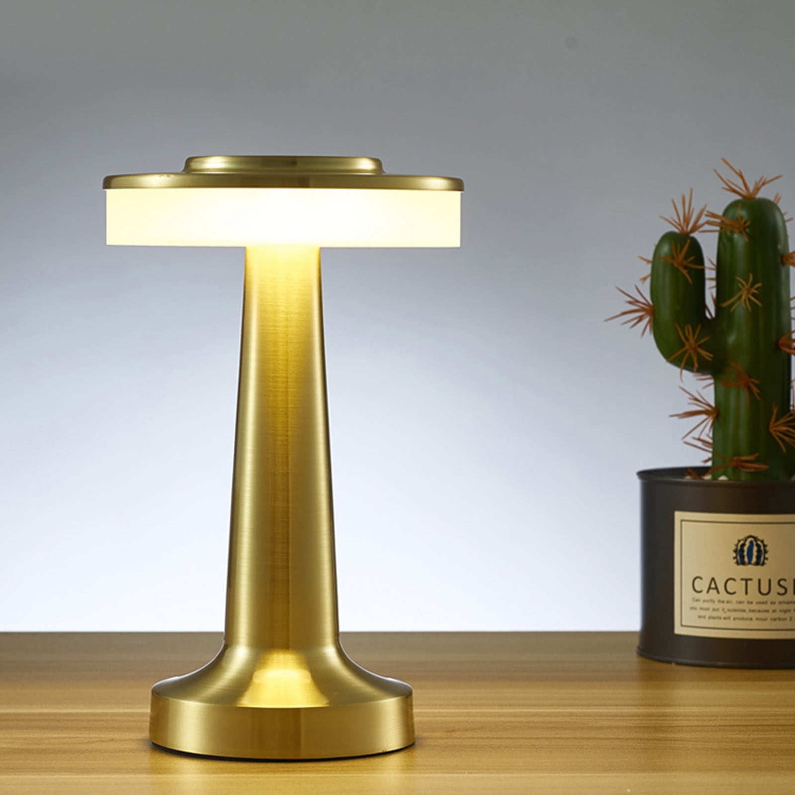LAMP, USB RECHARGEABLE SPOTLIGHT - Bronze