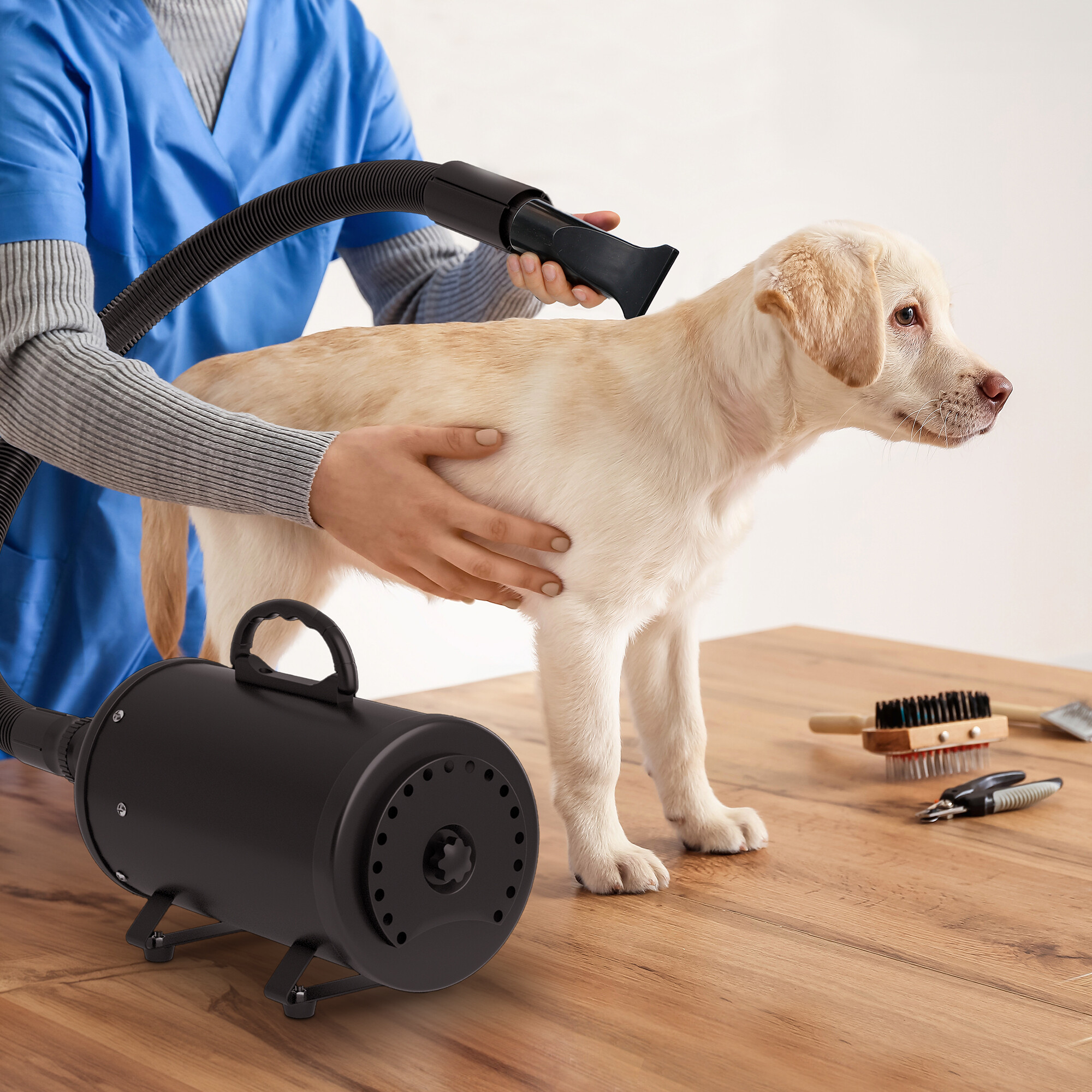 HomGarden Dog Hair Dryer 2400W Professional Pet Grooming Dryer