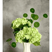HAIDOLIANG Green Artificial Hydrangea, 3pcs Real Touch Blooms with 2 Penny Leaves for Vase Wedding Home Decor