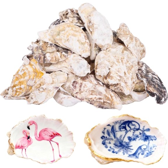 Homaisson 30 PCS Oyster Shells for Crafts, 4-5 in Large Oyster Shells for Decor, Natural North Sea Origin, Natural Oyster Shell for Aquarium Landscaping DIY Ornaments, Crack-Free Surface