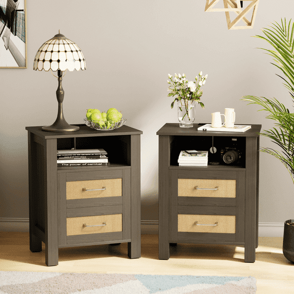 Homall Rattan Nightstand Set of 2 with 2 Drawers, Bedside Table End Table with Charging Station for Bedroom Living Room, Gray