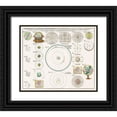 thumbnail image 1 of Homann, Johann Baptista 17x15 Black Ornate Wood Framed with Double Matting Museum Art Print Titled - Schematismus Geographiae Mathematicae 1753, 1 of 4