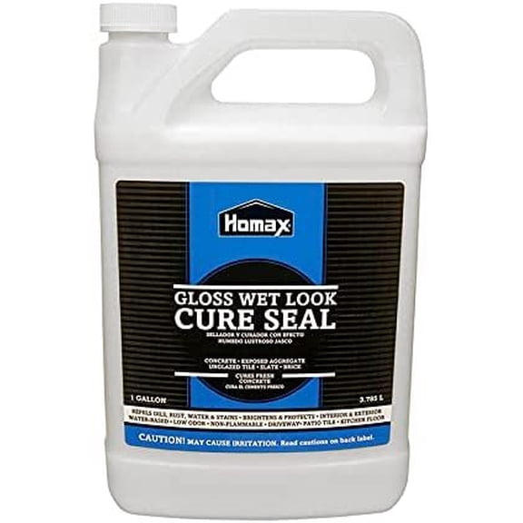 Homax Gloss Wet Look Cure Seal Interior/Exterior Clear 1 Gl