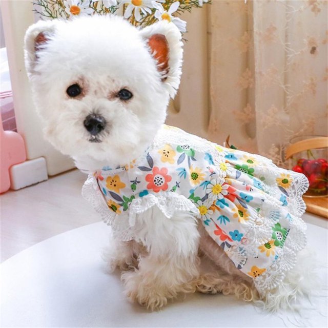 Homchy Small Dog Girl Dog Clothes Puppy Wedding Dresses Puppy Clothes