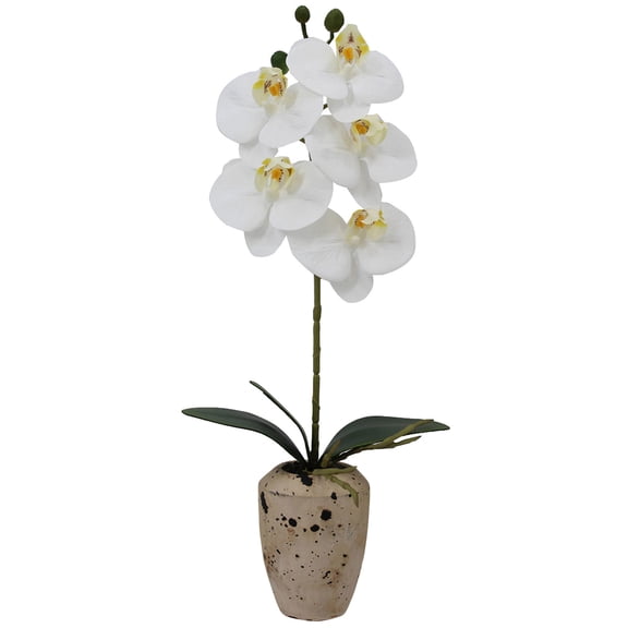 Home Accents 16-inch Artificial Real Touch Phalaenopsis Orchid in Faux Aged Cement Pot, White/Yellow