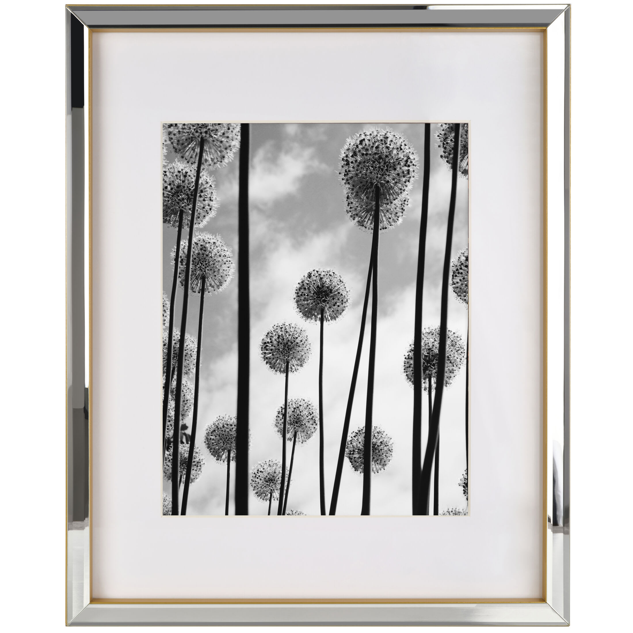 Home Accents 17X21 inch Mirrored Frame 16X20 Matted To 11X14 Picture, Gold