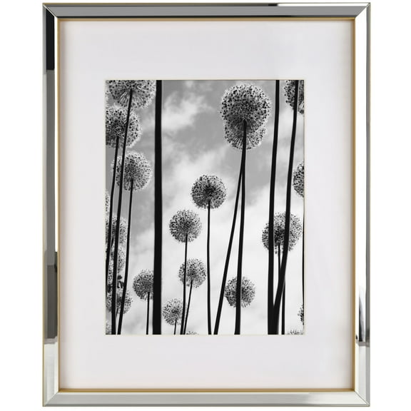 Home Accents 17X21 inch Mirrored Frame 16X20 Matted To 11X14 Picture, Gold