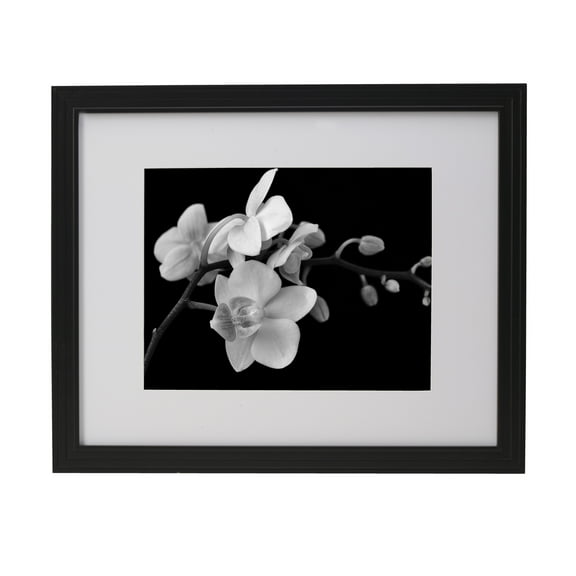 Home Accents 18X22 in Gallery Frame, Displays a 16X20 Photo without Mat and a 11X14 Photo with Mat, Black
