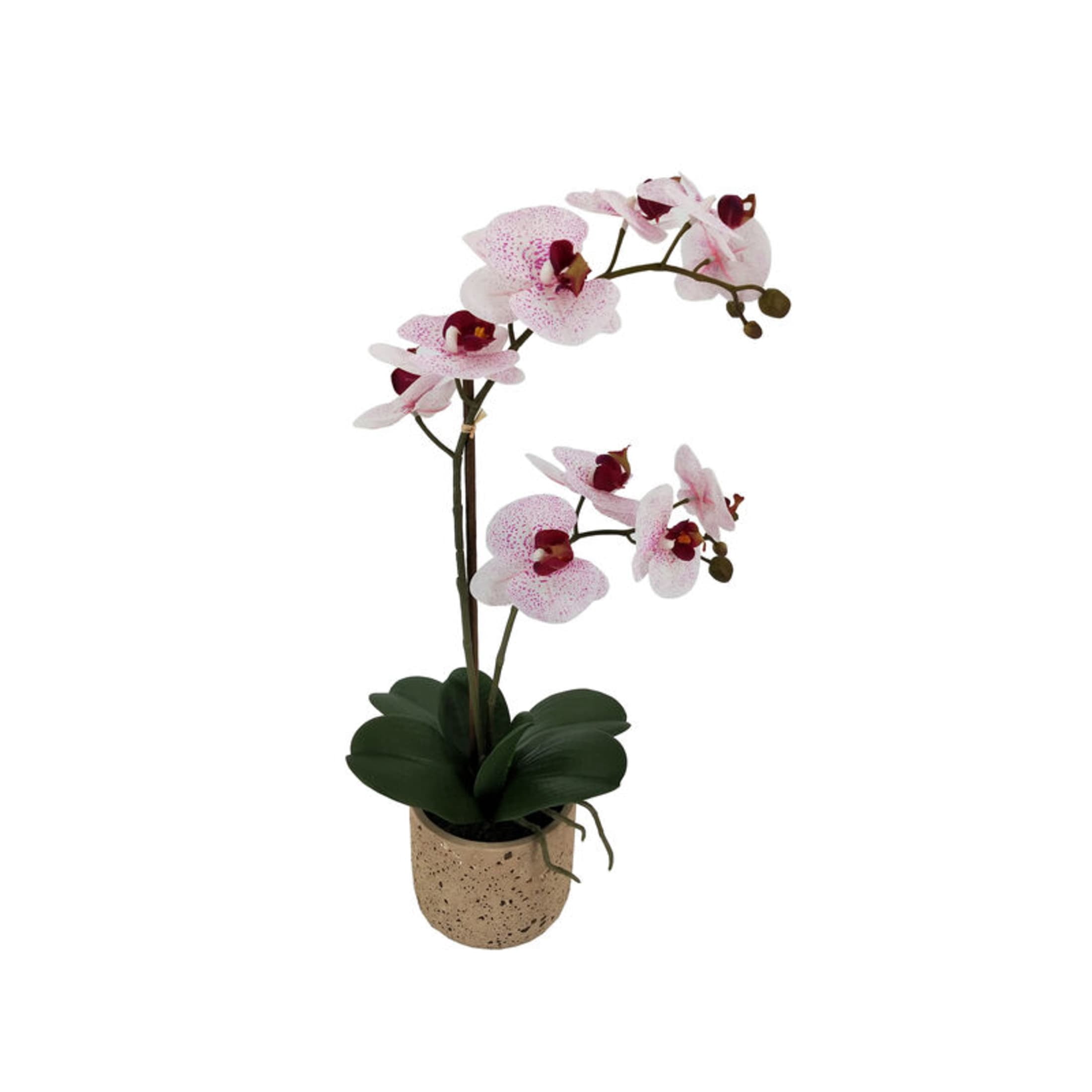 Home Accents 21-inch Artificial Real Touch Phalaenopsis Orchid Flower in Pot, Pink