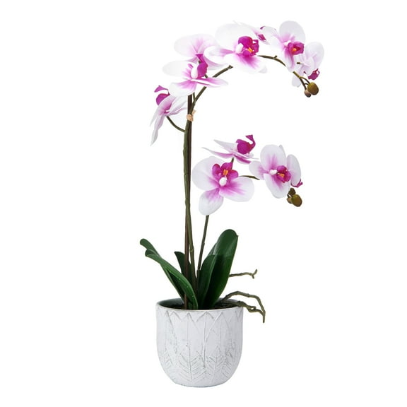 Home Accents 22-inch Artificial Real Touch Phalaenopsis Orchid in Cement Pot, White/Fuchsia