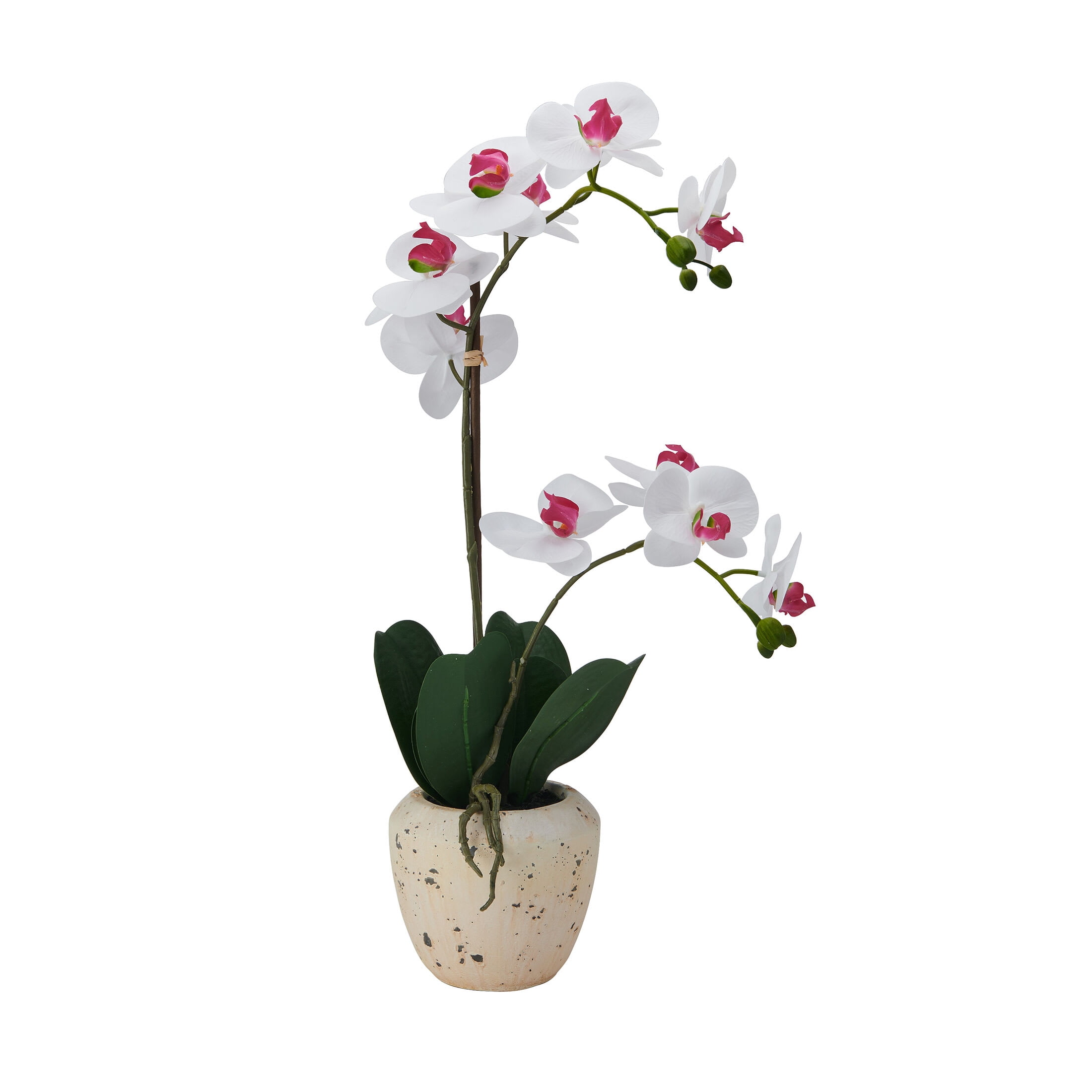 Home Accents 22-inch Artificial Real Touch Phalaenopsis Orchid in Cement Pot, White/Pink