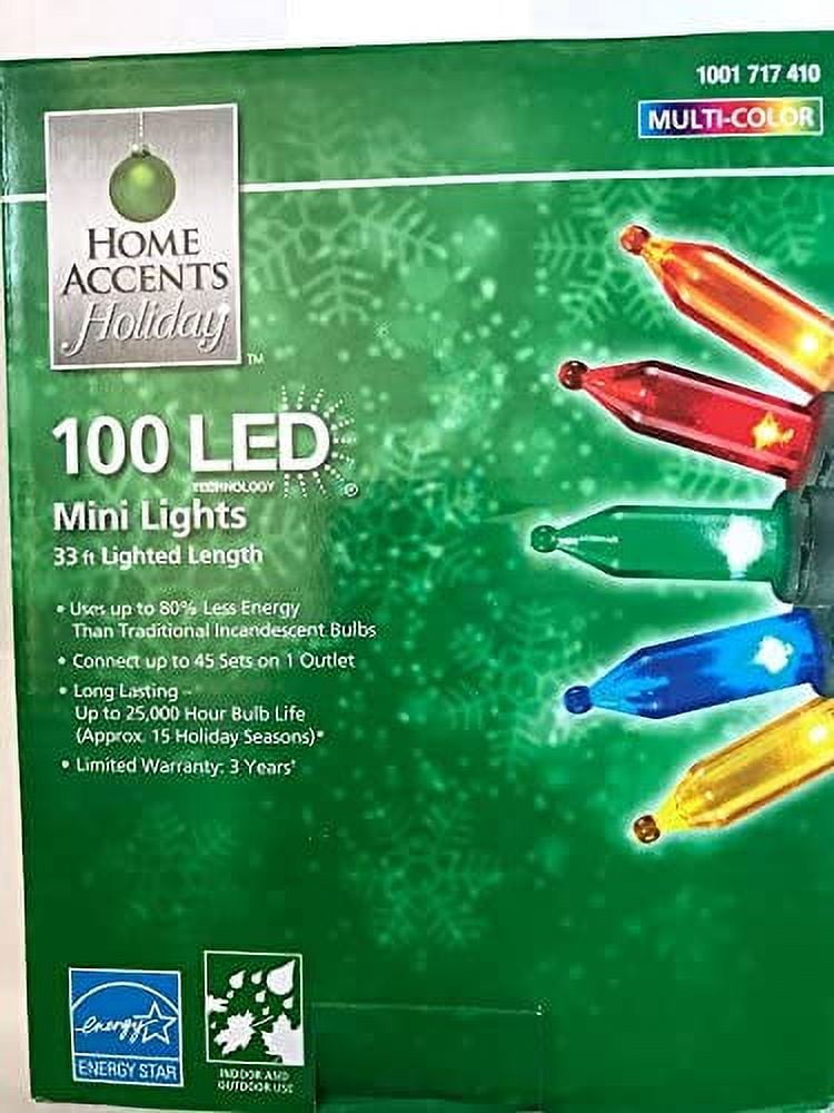 Home Accents Holiday 100Light LED MultiColor Mini Light Set