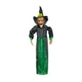 thumbnail image 1 of Home Accents Holiday 48 in. Animated Hanging Witch, 1 of 4