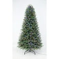 Home Accents Holiday 9 Ft. PreLit LED Jackson Noble Fir Artificial
