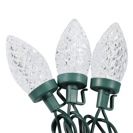 Home Accents Holiday Outdoor 61.2 ft Plug-in 100 LED C9 Light String (2 Pack)
