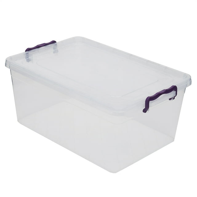 Home Basics 20 Lt Storage Box with Locking Lid, Clear