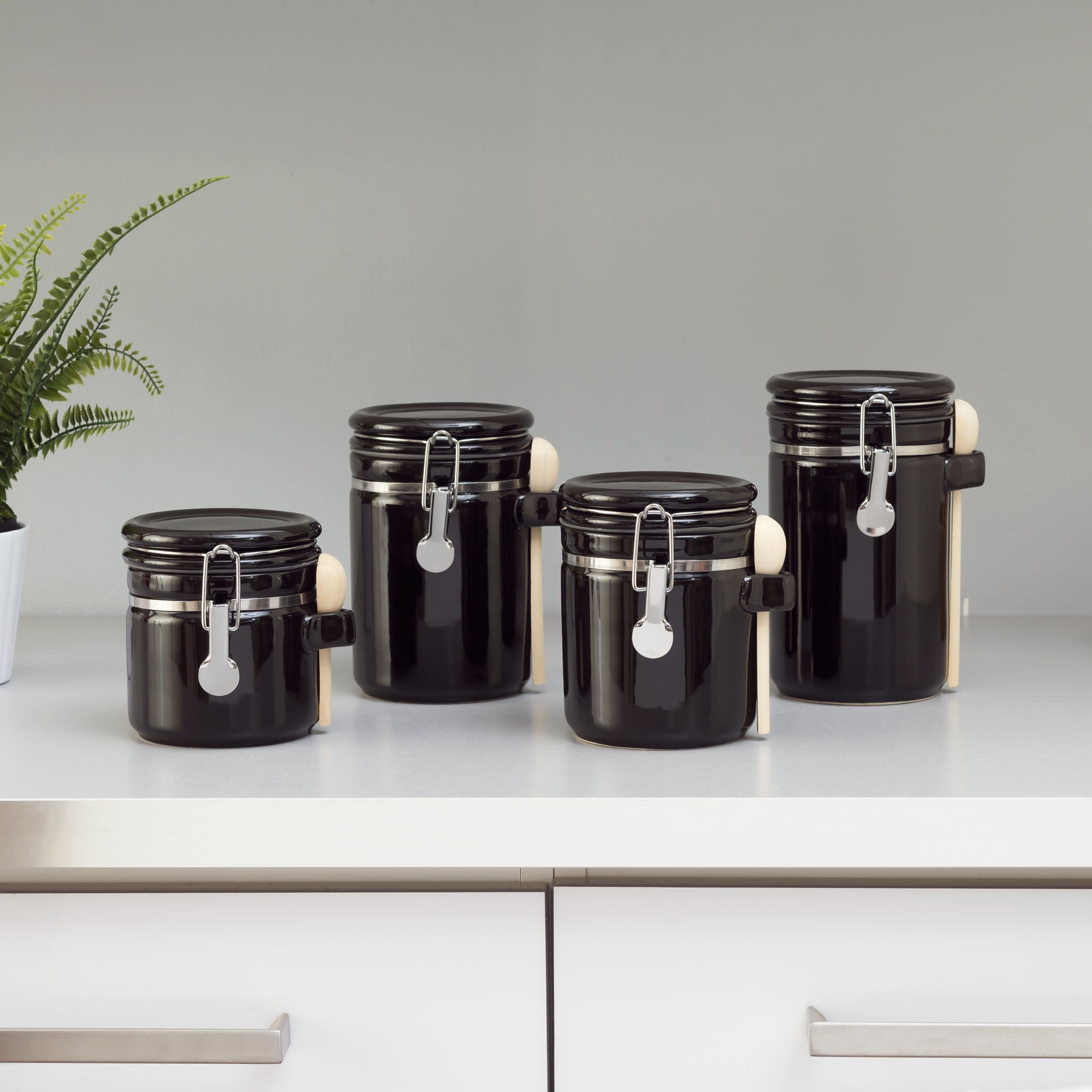 Home Basics Canister