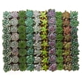 thumbnail image 1 of Home Botanicals Rosette Succulent (Collection of 128), 1 of 5