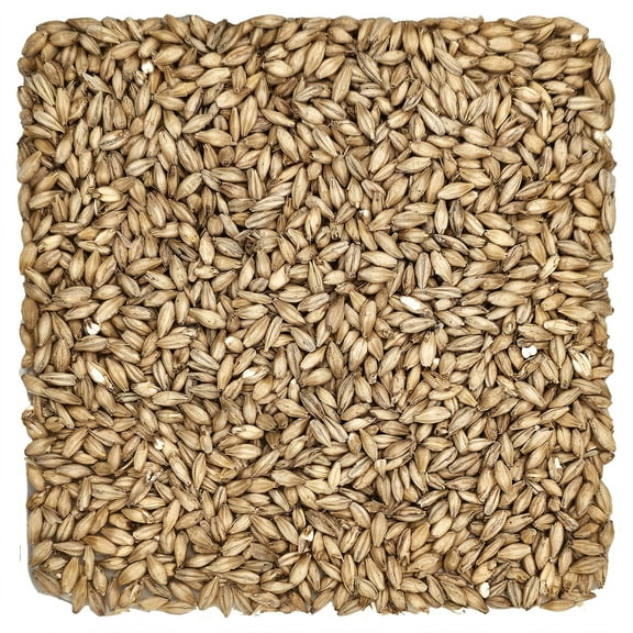 Home Brew Ohio 2-Row Grain 1lb