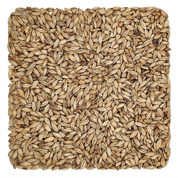 Home Brew Ohio Abbey Grain 10lb