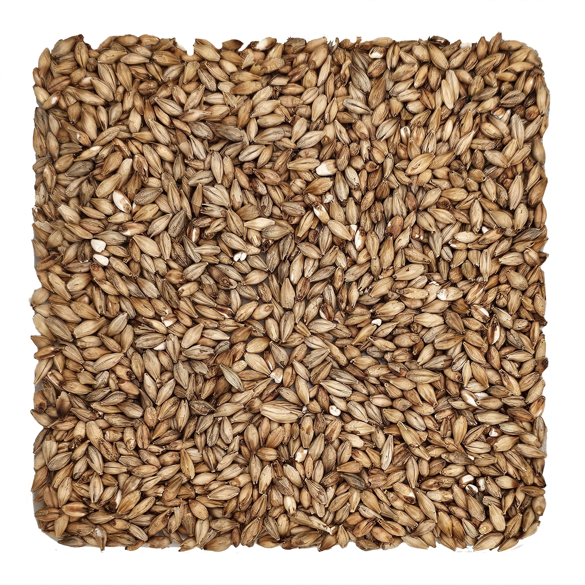 Home Brew Ohio Acidulated Grain 1lb - Walmart.com