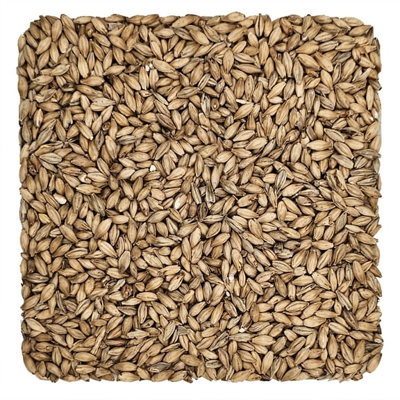 Home Brew Ohio Ale Grain 5lb